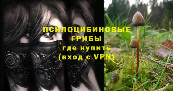винт Армянск