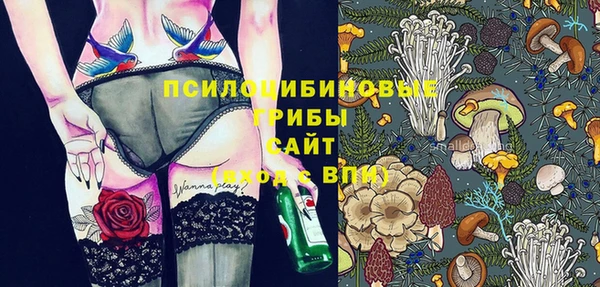 винт Армянск