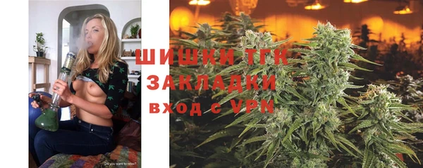 мяу мяу мука Аркадак