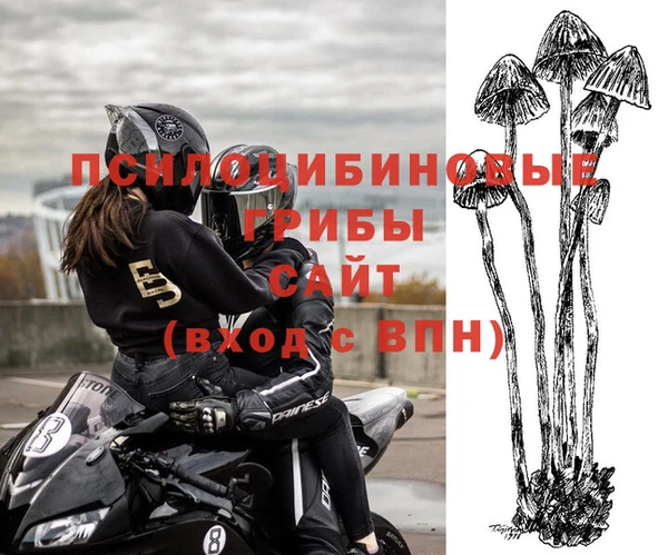 мяу мяу мука Аркадак