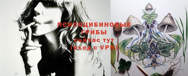 винт Армянск