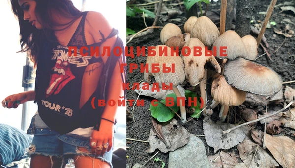винт Армянск