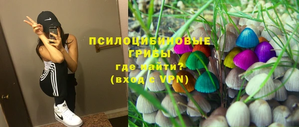 мяу мяу мука Аркадак