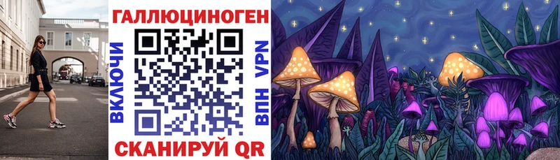 Псилоцибиновые грибы Cubensis  хочу наркоту  Бабаево 